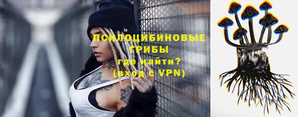 дурь Гусь-Хрустальный