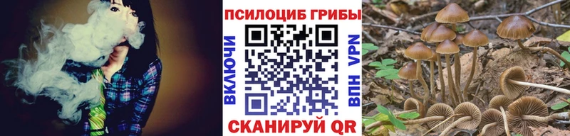 Купить закладки  Перевоз  Галлюциногенные грибы GOLDEN TEACHER 